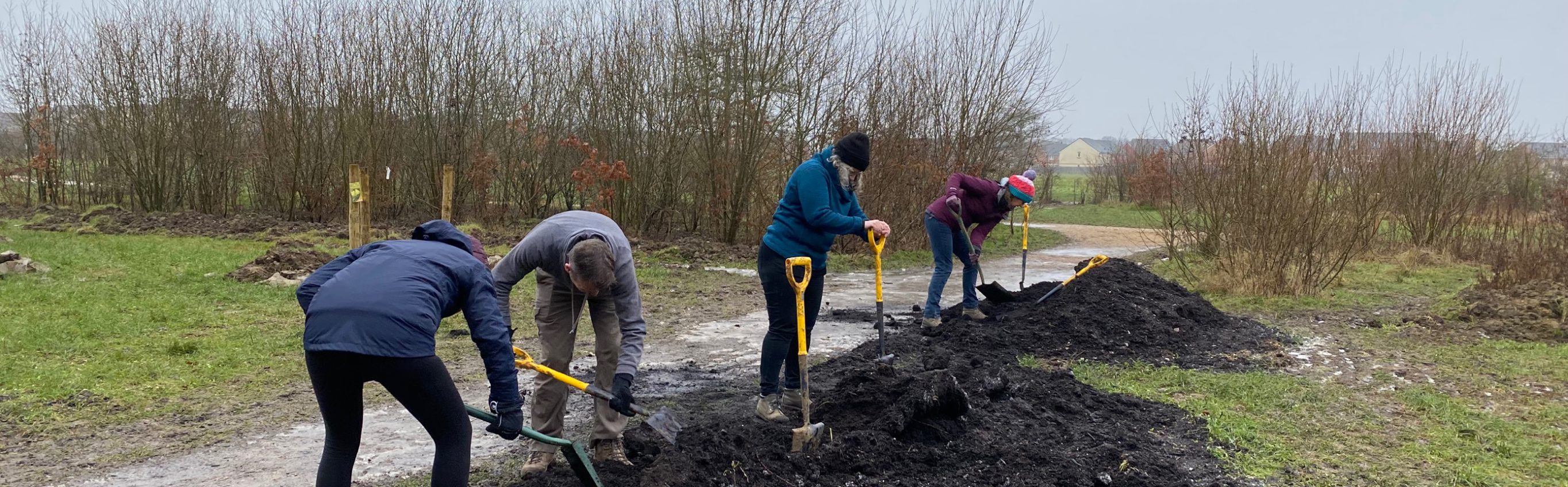 Four people digging holes in the ground ready to plant new trees just to the right of a path.